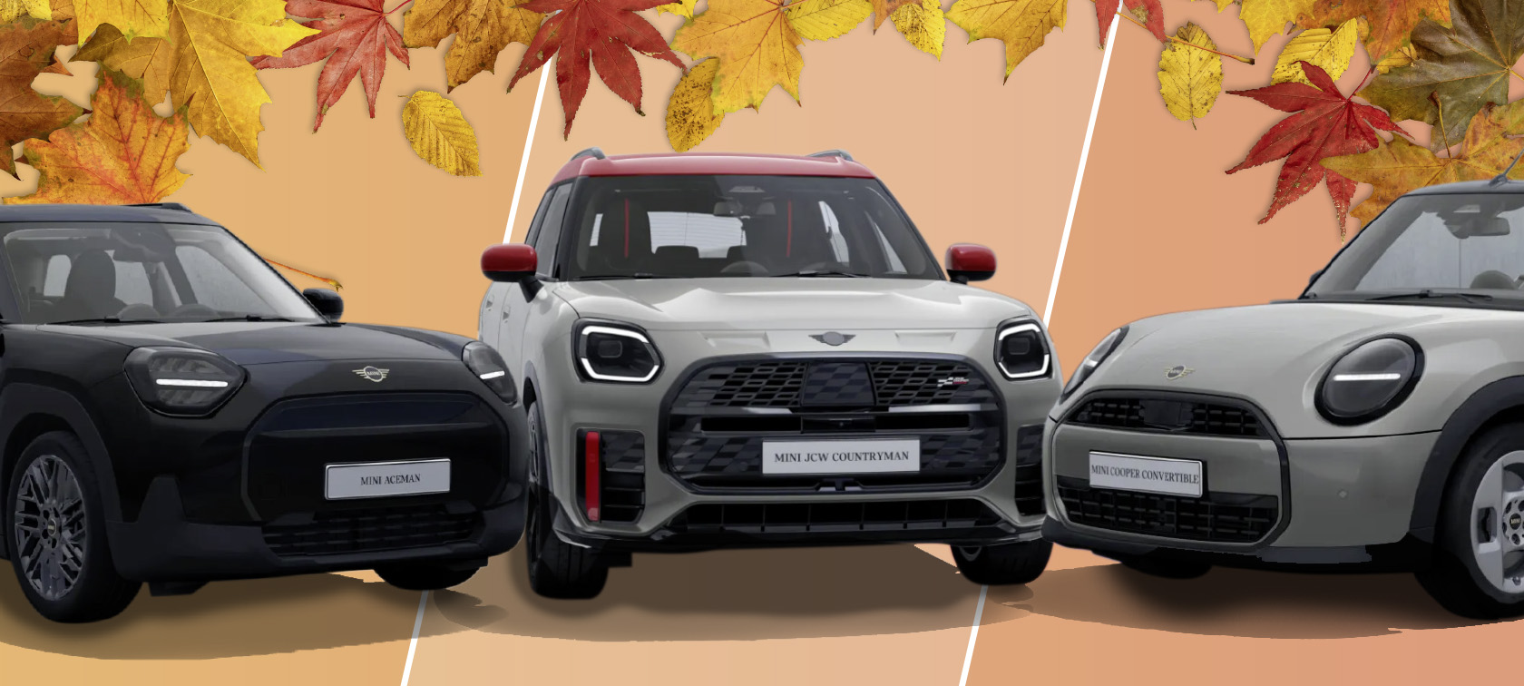 Herbstdeals
